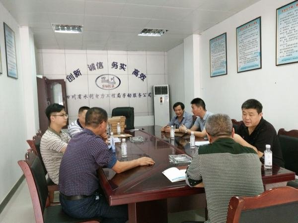 楊澤林、袁斌率隊檢查資陽片區安全工作