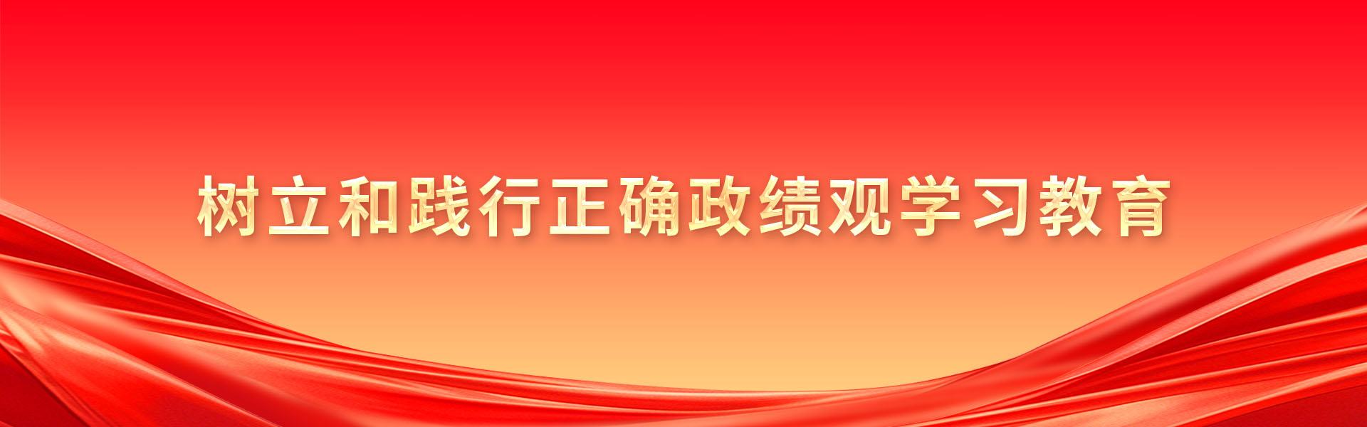 樹立和踐行正確政績觀學習教育