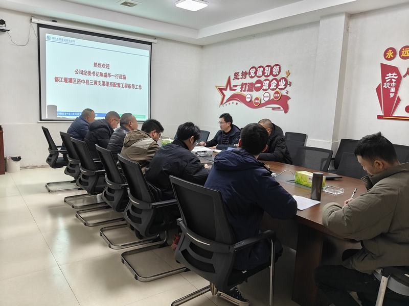 陳盛華到三黃支渠項(xiàng)目調(diào)研